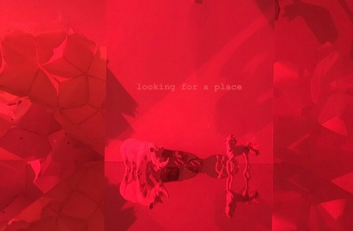 Looking for a Place, 2019
